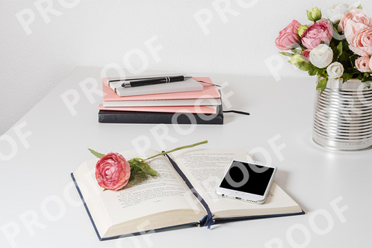 Remove Proof from Photo Before