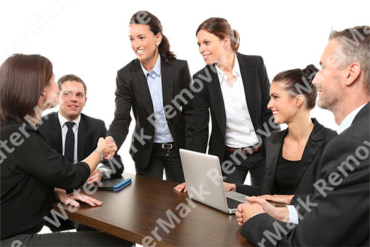 Watermark remover online Before