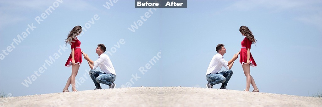 watermark removal services sample image banner